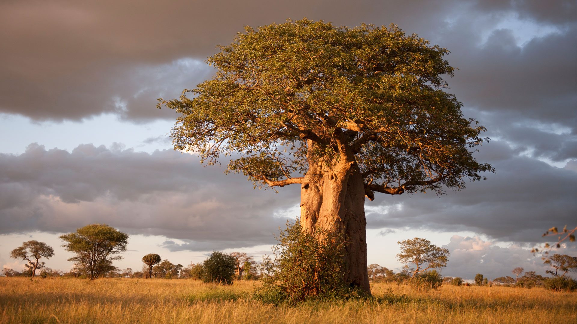 Serengeti National Park