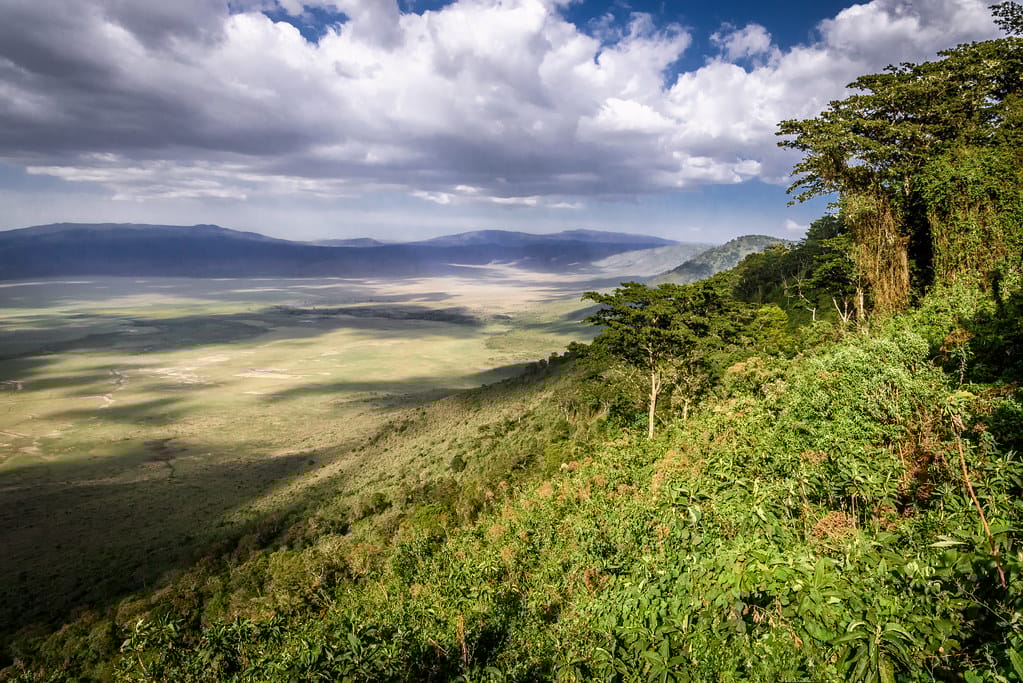 Ngorongoro Conservation Area